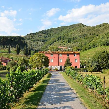 Agriturismo Le Murelle 卢卡 外观 照片