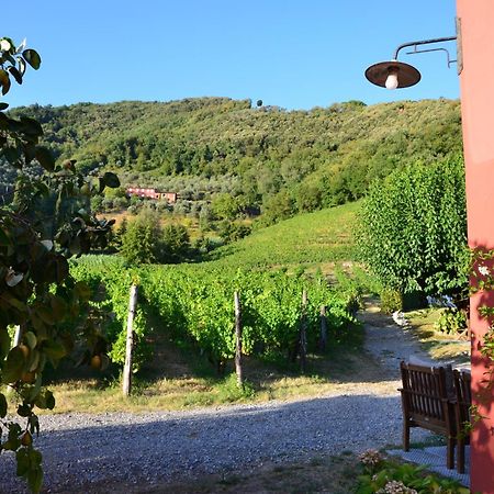 Agriturismo Le Murelle 卢卡 外观 照片