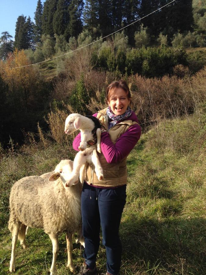 Agriturismo Le Murelle 卢卡 外观 照片