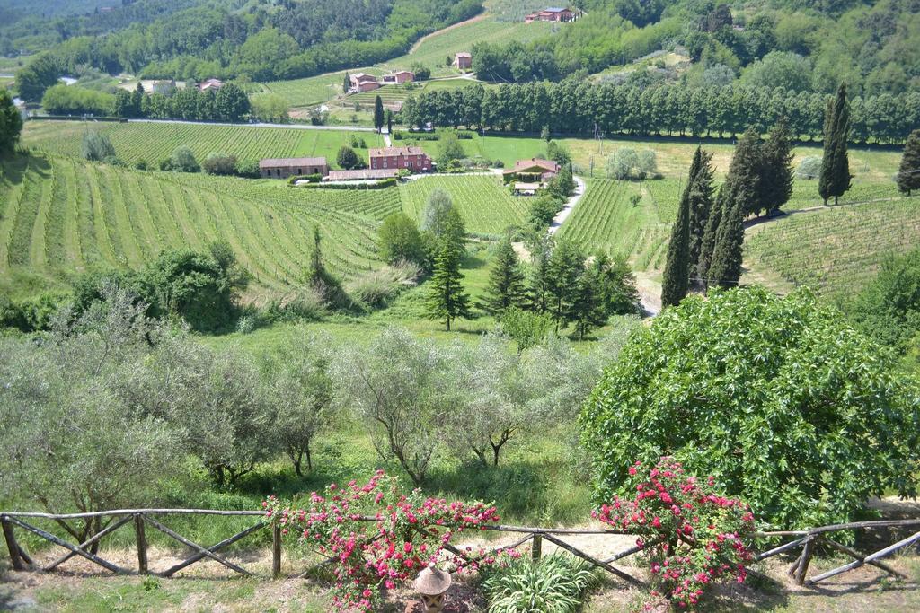 Agriturismo Le Murelle 卢卡 外观 照片
