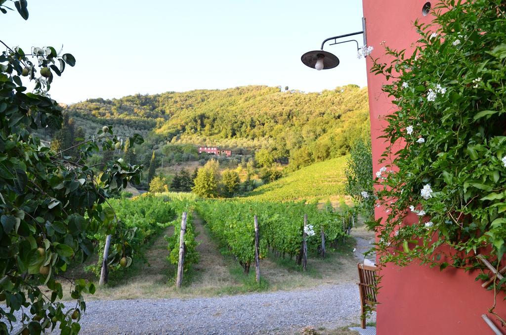 Agriturismo Le Murelle 卢卡 外观 照片