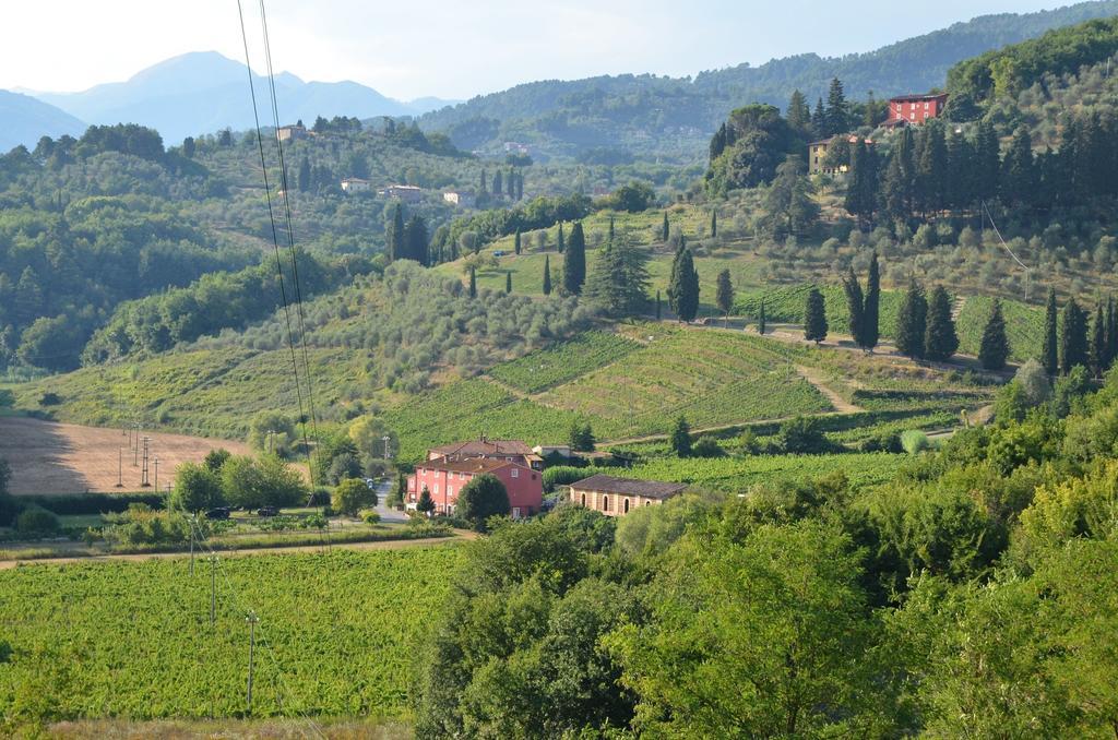 Agriturismo Le Murelle 卢卡 外观 照片