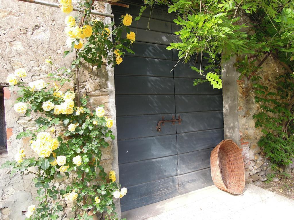 Agriturismo Le Murelle 卢卡 外观 照片