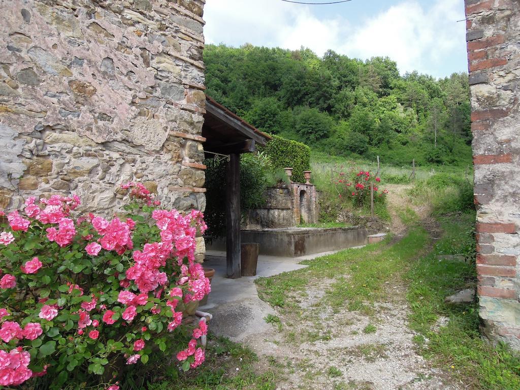 Agriturismo Le Murelle 卢卡 外观 照片