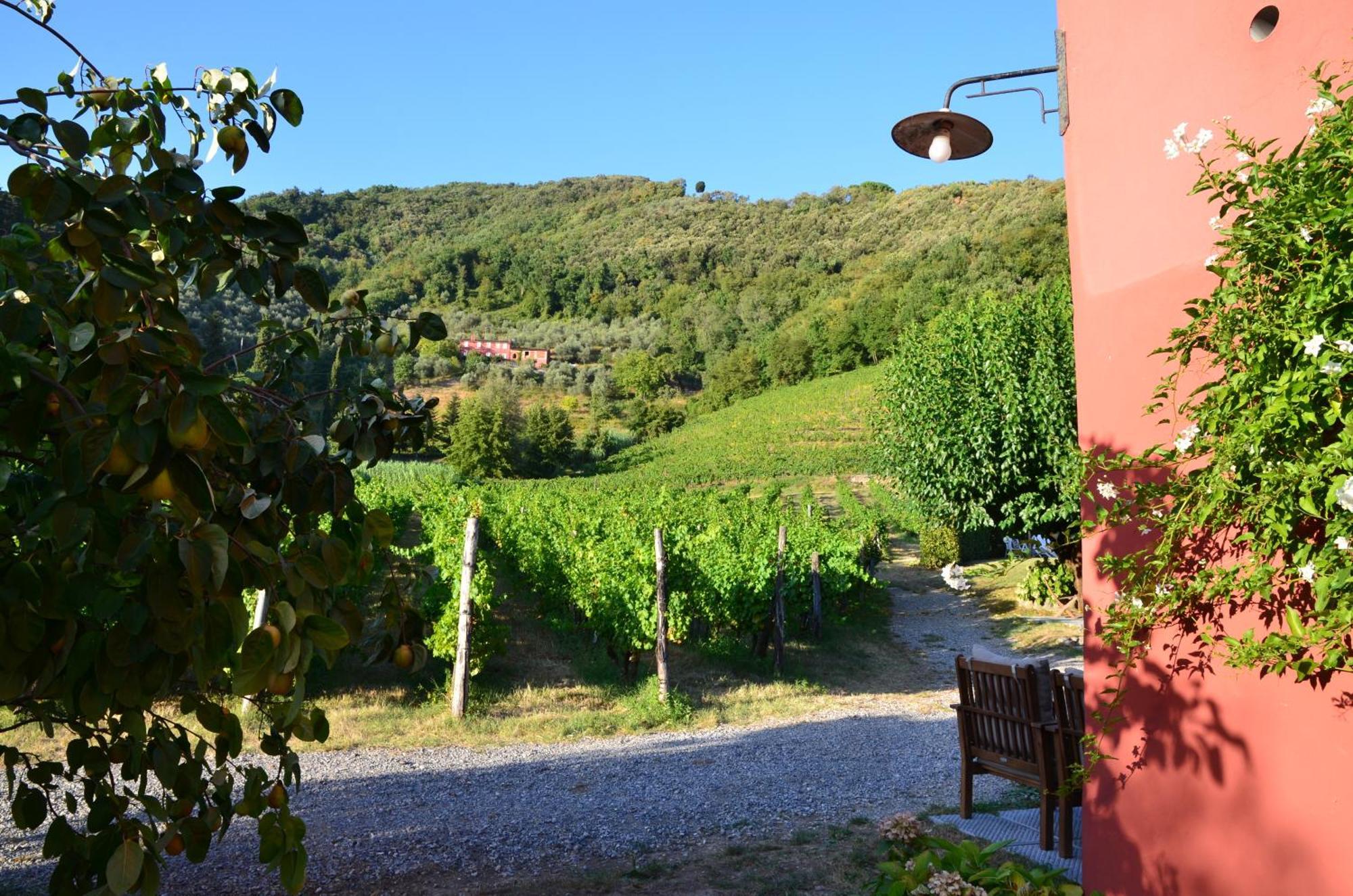 Agriturismo Le Murelle 卢卡 外观 照片