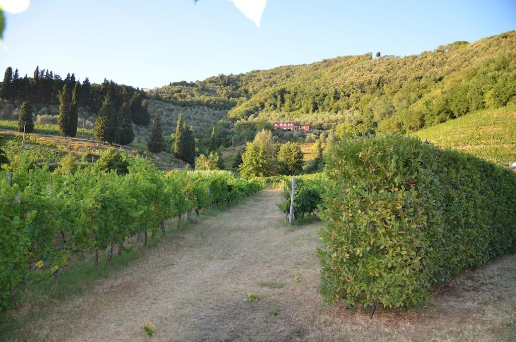 Agriturismo Le Murelle 卢卡 外观 照片